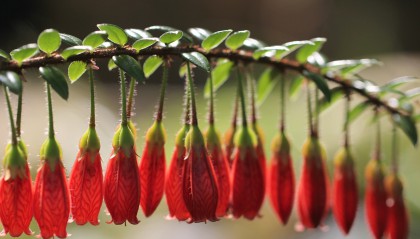 wow怎么退工会，wow怎么退工会怀旧服