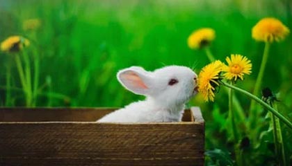 从不喜欢一个，从不喜欢孤单一个 可惜偏偏孤独一个